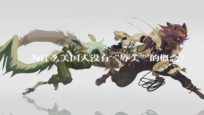 为什么美国人没有“辱美”的概念？
