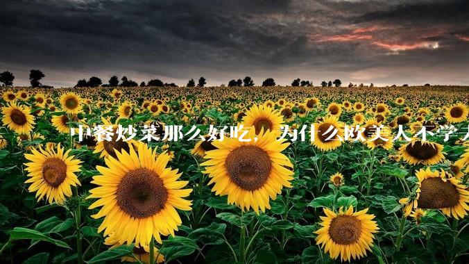 中餐炒菜那么好吃，为什么欧美人不学去？