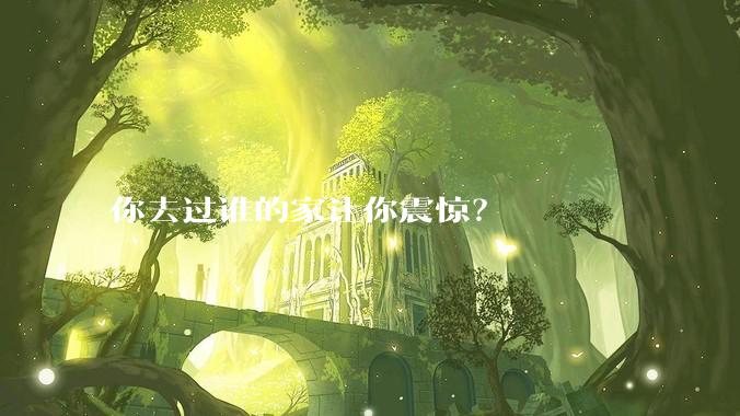 你去过谁的家让你震惊？