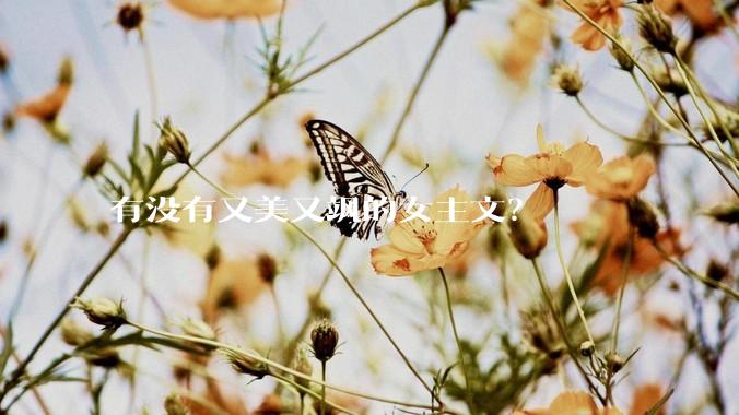 有没有又美又飒的女主文？